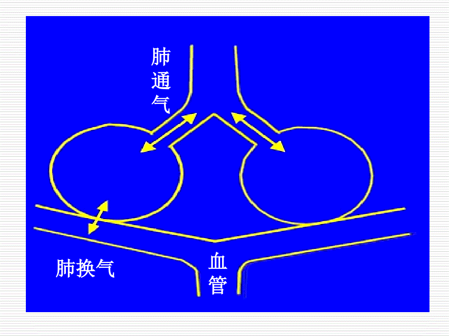 呼吸功能不全respiratoryinsufficiency课件_第4页