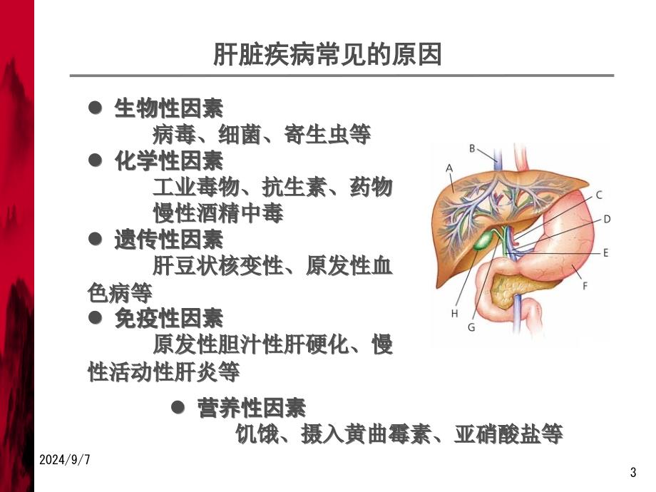 肝功能障碍患者合理用药_第3页