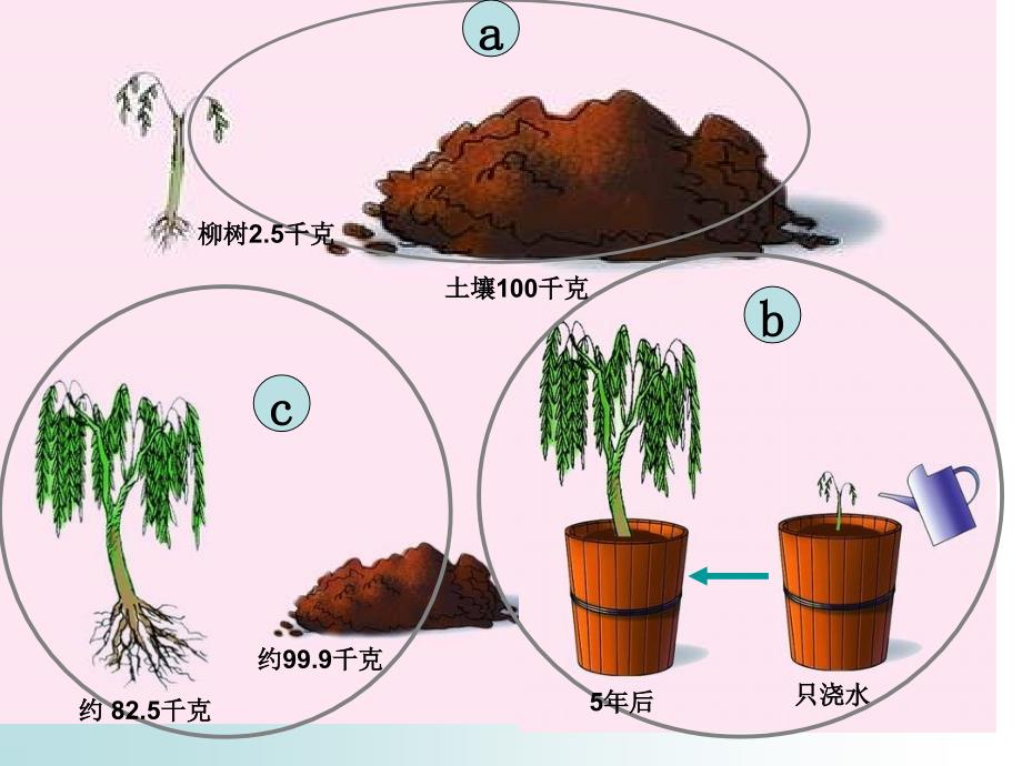 实用植物的光合作用和呼吸作用复习课件ppt_第3页