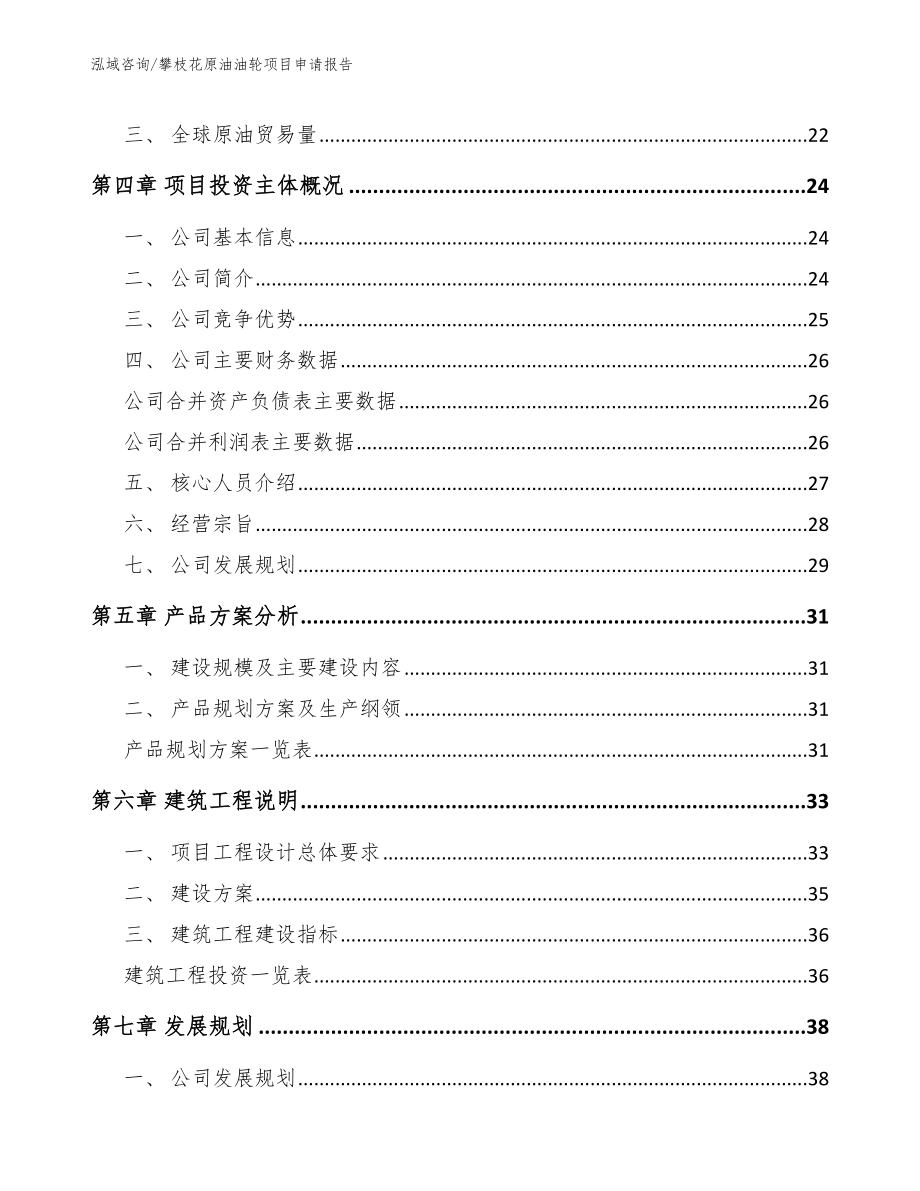 攀枝花原油油轮项目申请报告_第2页