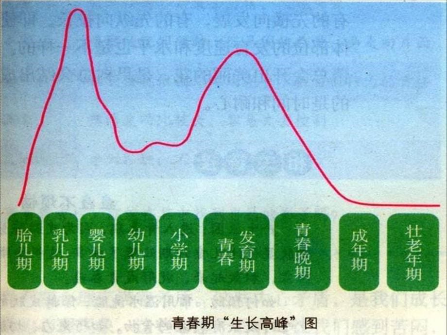 《走进青春》_第5页