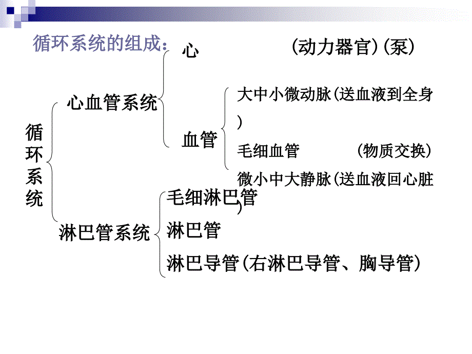 解剖生理学第六章循环系统 ppt课件_第4页