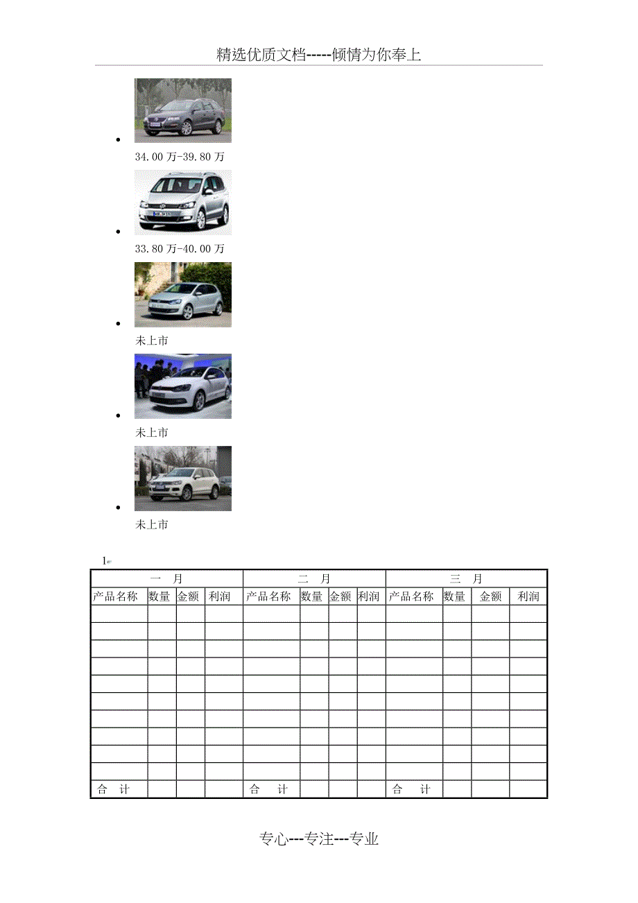 大众汽车全部车型_第5页