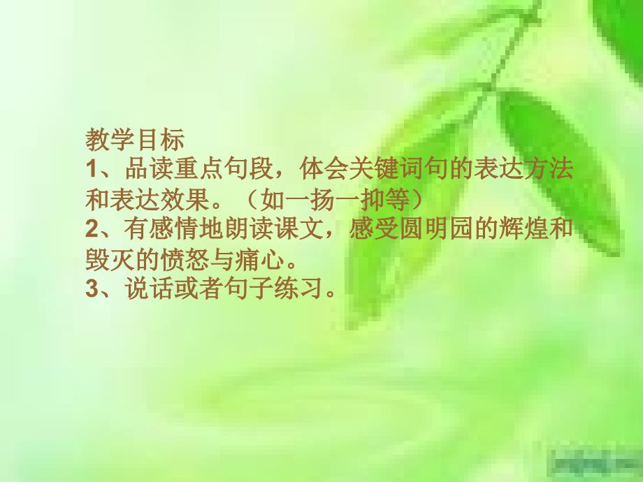 《圆明园的毁灭》 (2)_第2页