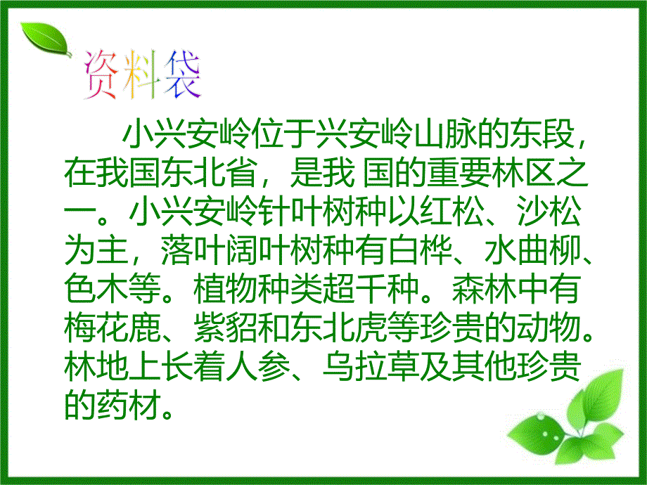 23美丽的小兴安岭_第3页