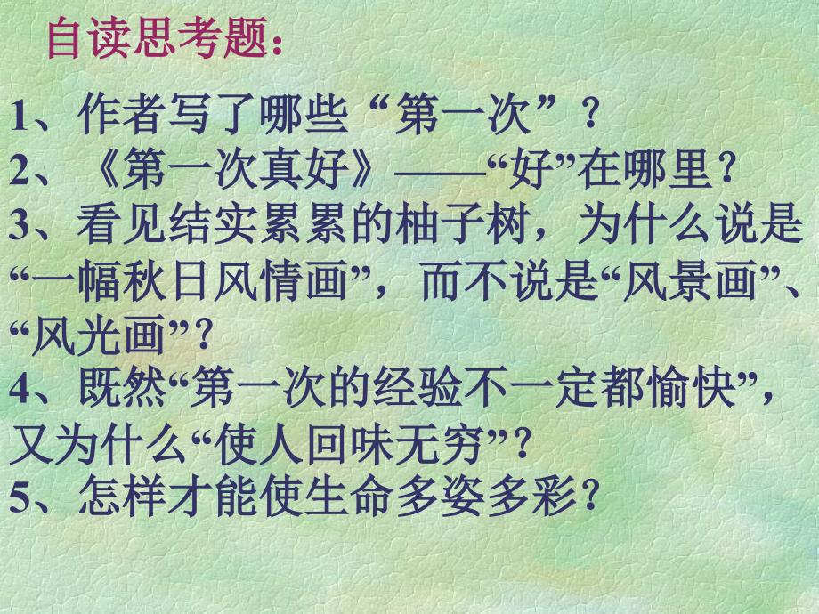 [人教版课件]七年级语文第一次真好_第2页