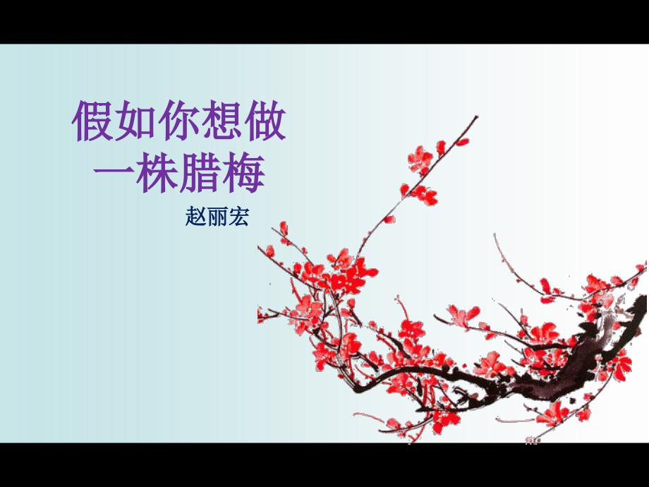 假如你想做一株腊梅.ppt_第1页