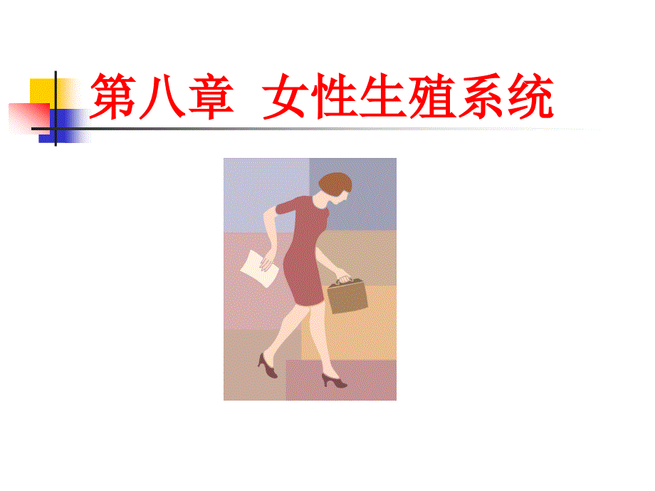 系统解剖学：女性生殖系统_第1页