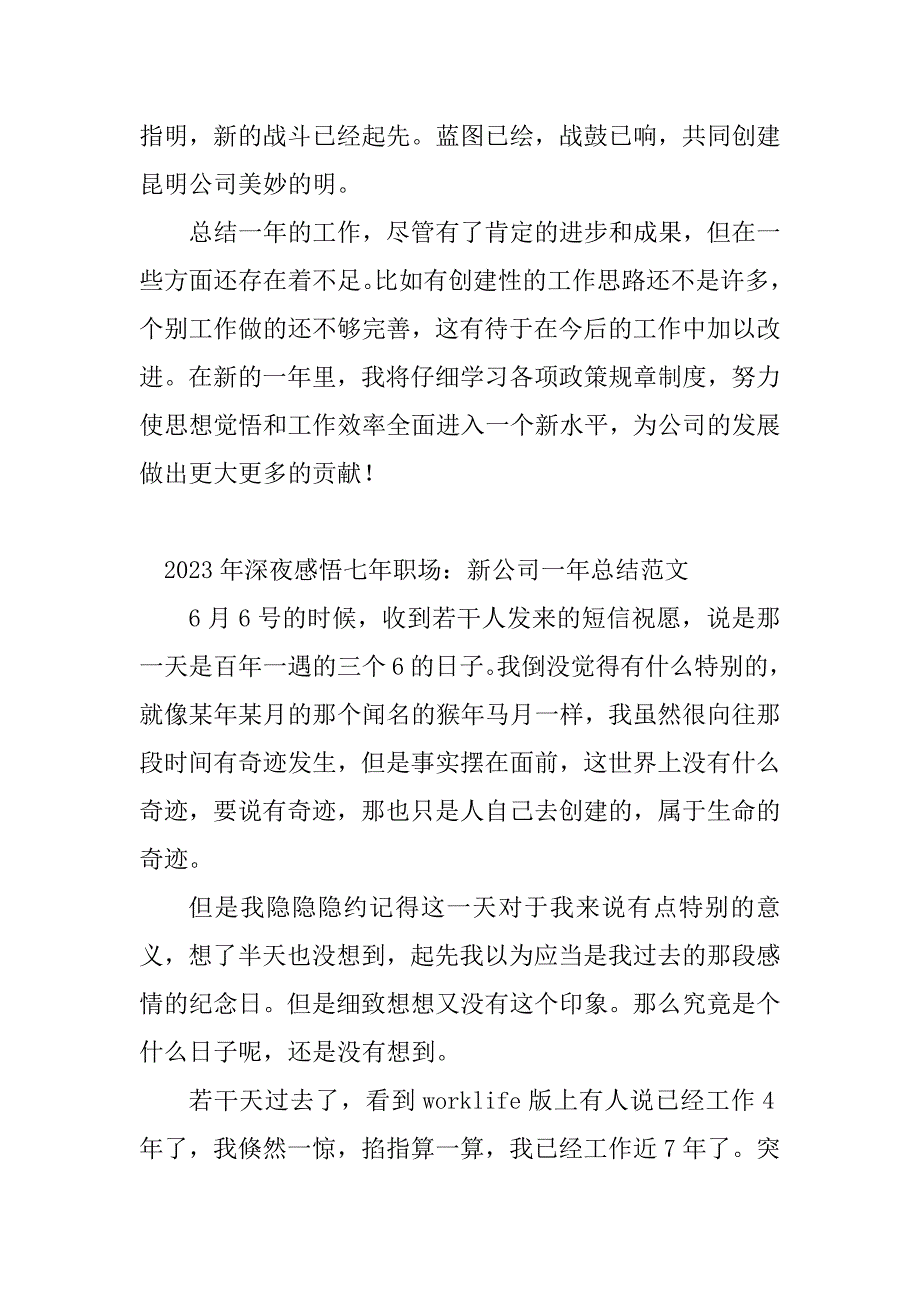 2023年一年总结销售公司(4篇)_第2页