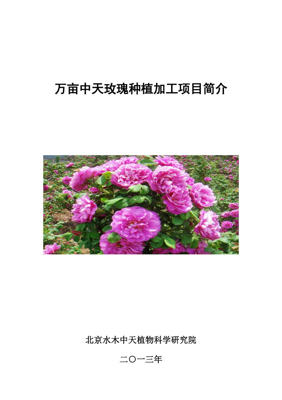 万亩玫瑰专项项目介绍_第1页