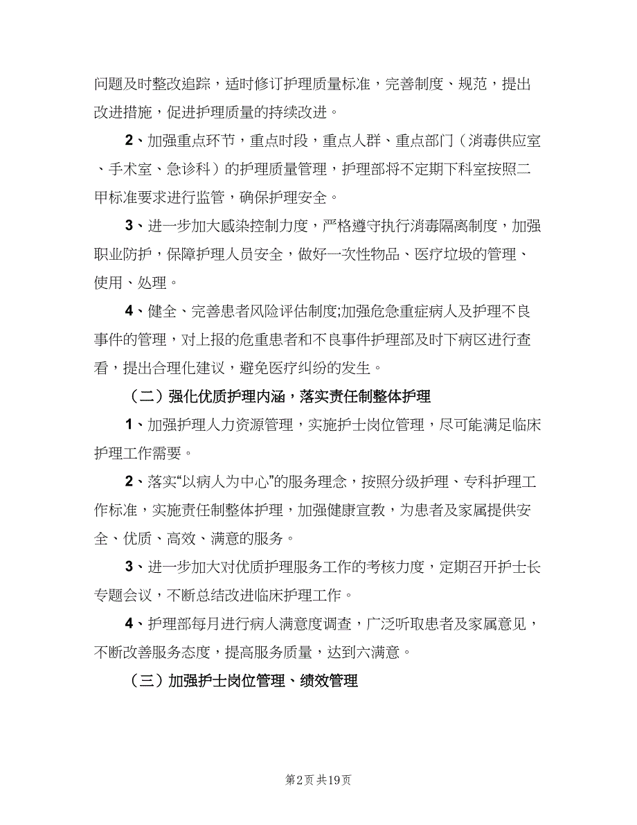 2023年护理部工作计划例文（六篇）_第2页