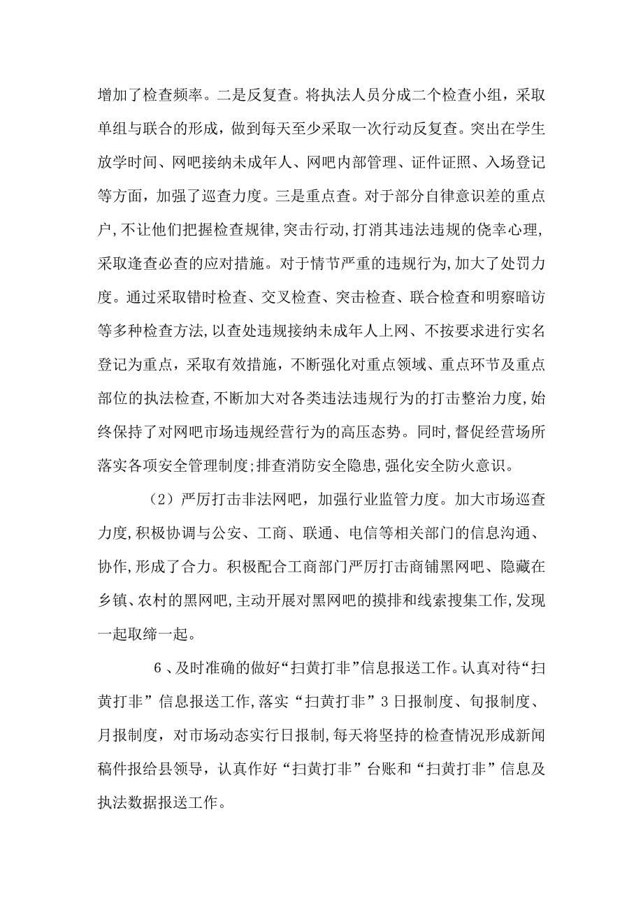 文广新局综合执法工作总结范文_第5页
