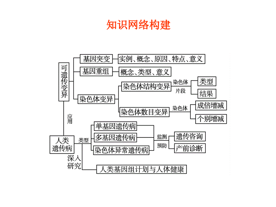 学案与测评课件生物人教版必修二第5章基因突变及其他变异课件_第3页