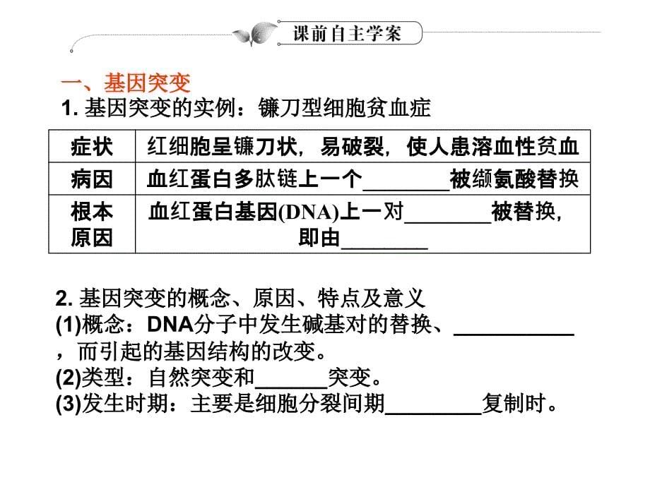 学案与测评课件生物人教版必修二第5章基因突变及其他变异课件_第5页