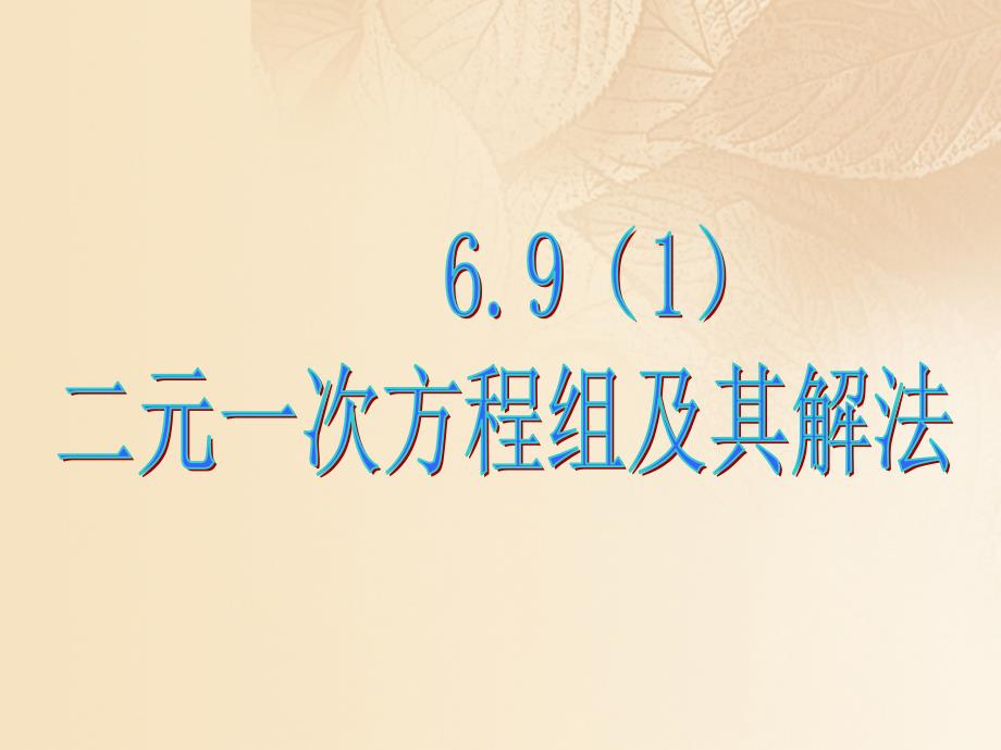 上海市松江区六年级数学下册6.9二元一次方程组及其解法1课件沪教版五四制_第1页