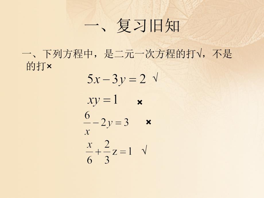 上海市松江区六年级数学下册6.9二元一次方程组及其解法1课件沪教版五四制_第2页