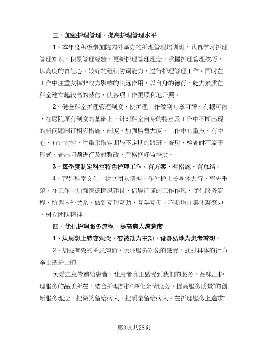 “医院护理规划”医院工作计划模板（3篇）.doc_第3页