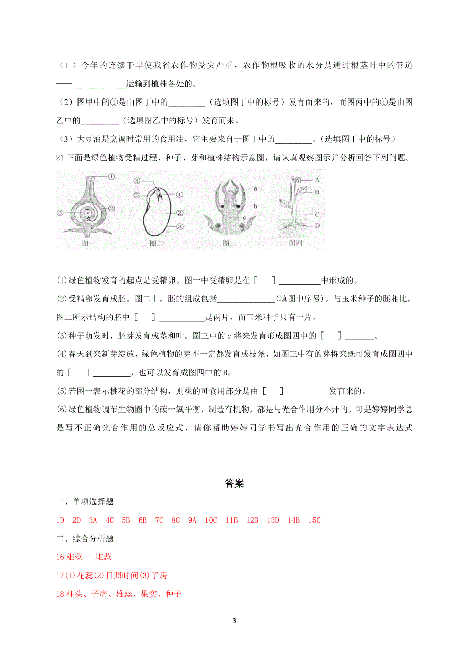 _开花和结果检测题.doc_第3页