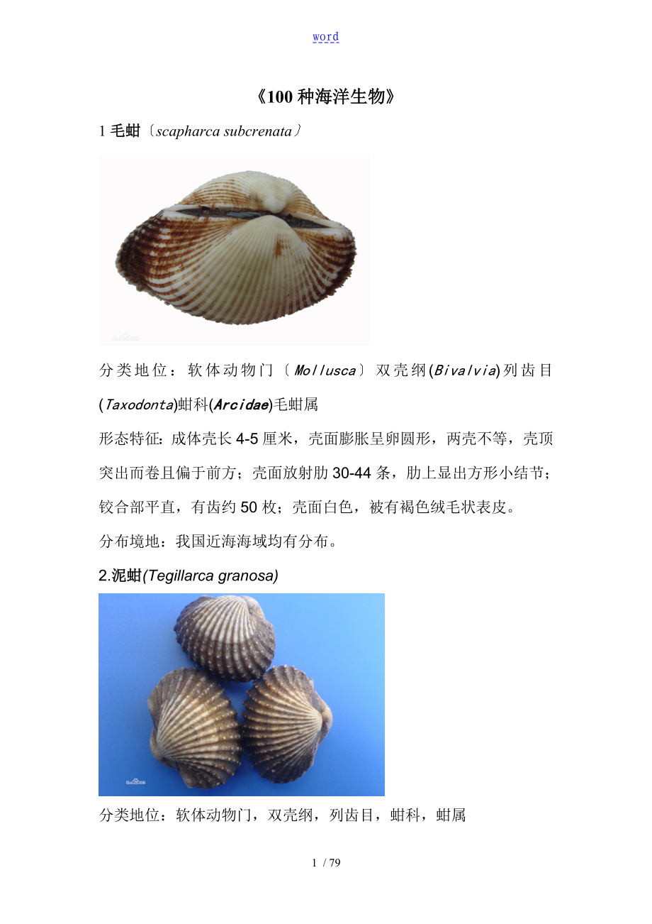 《100种海洋生物地介绍》_第1页