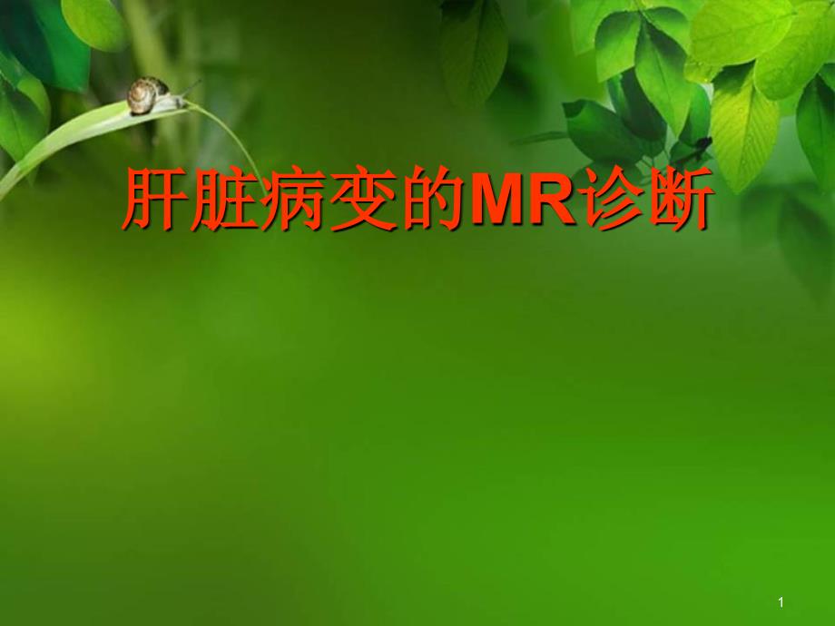 肝脏病变的MR诊断课件_第1页