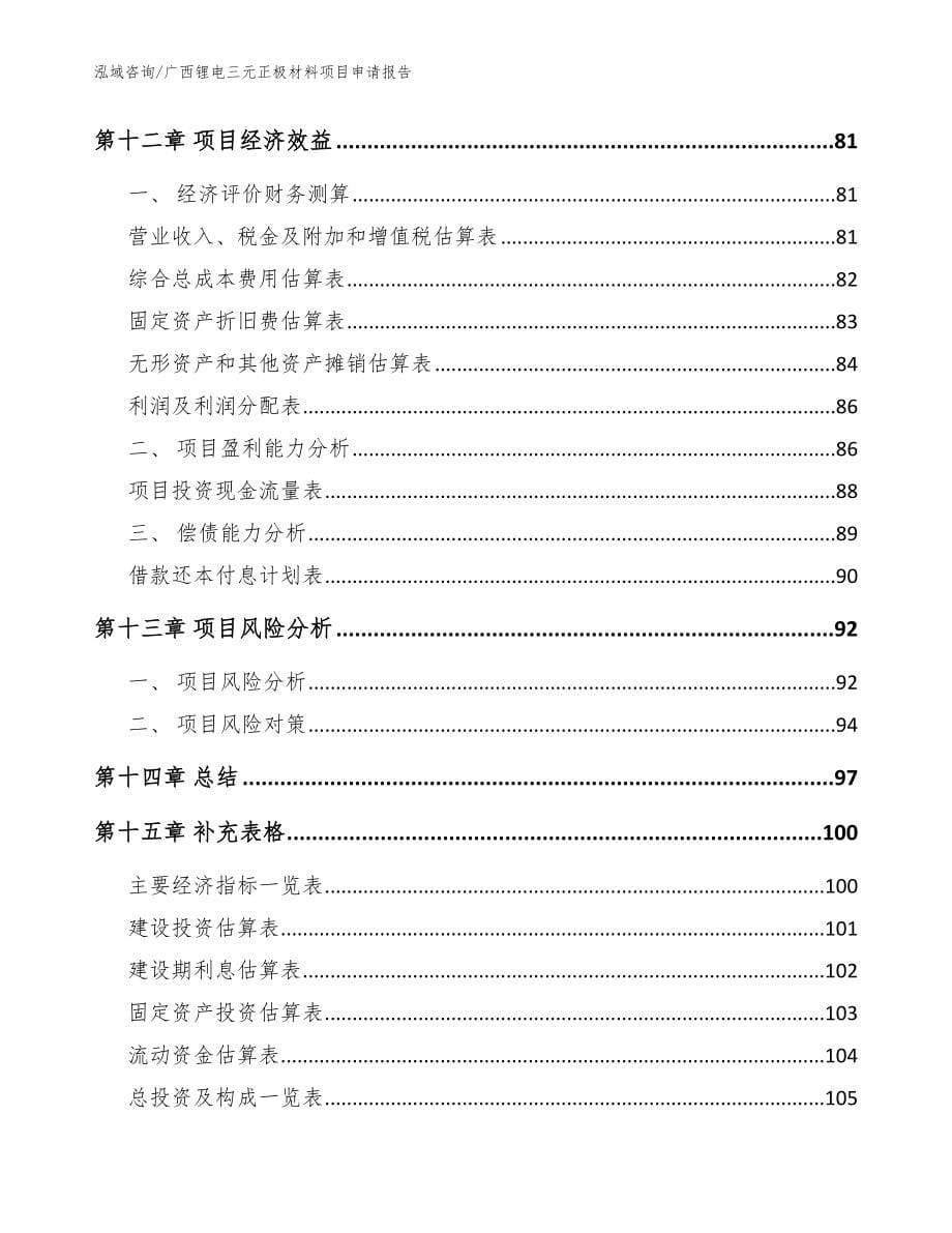 广西锂电三元正极材料项目申请报告模板范文_第5页