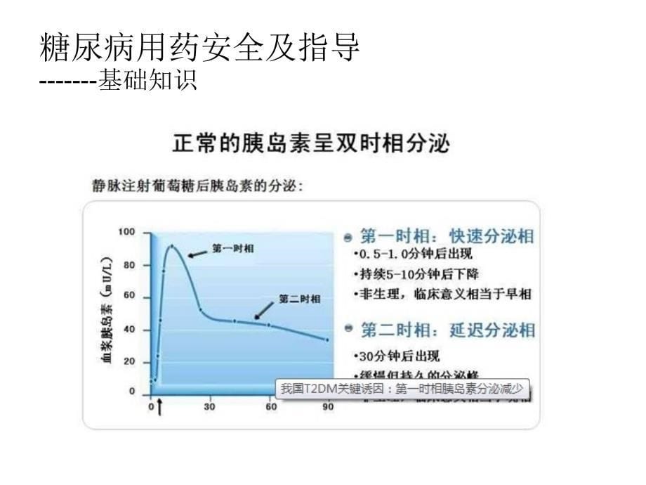 糖尿病用药安全及指导ppt课件_第5页