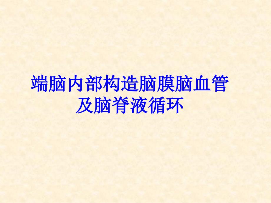 端脑内部构造脑膜脑血管及脑脊液循PPT课件_第1页