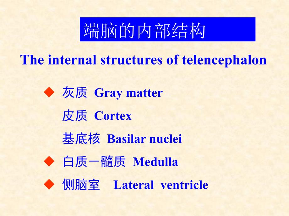 端脑内部构造脑膜脑血管及脑脊液循PPT课件_第2页