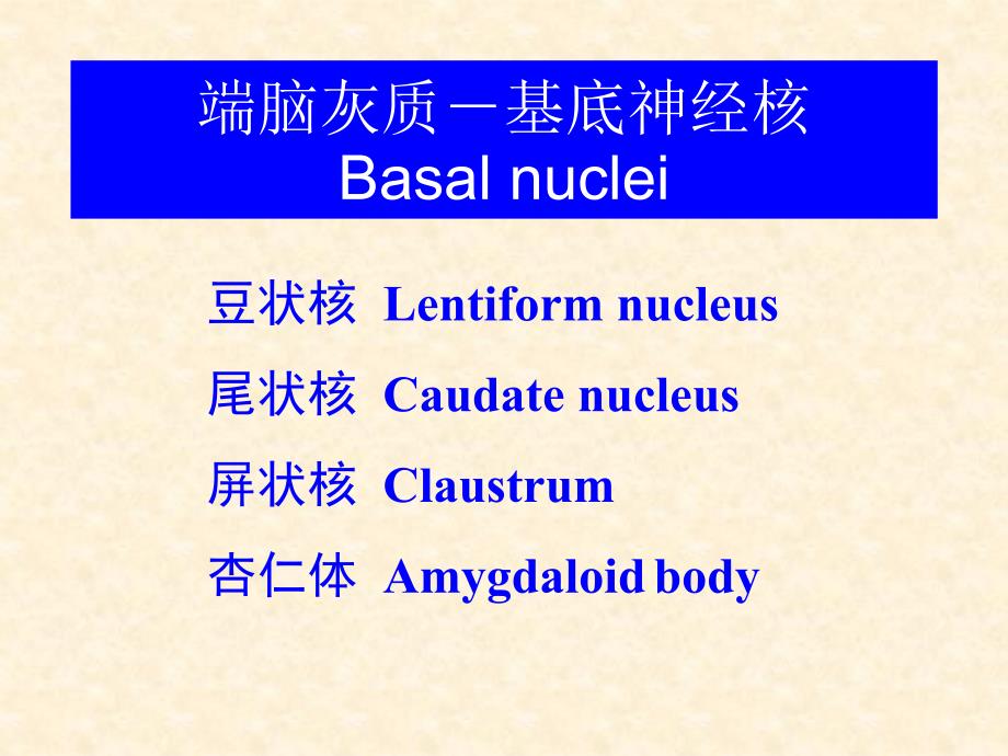 端脑内部构造脑膜脑血管及脑脊液循PPT课件_第3页