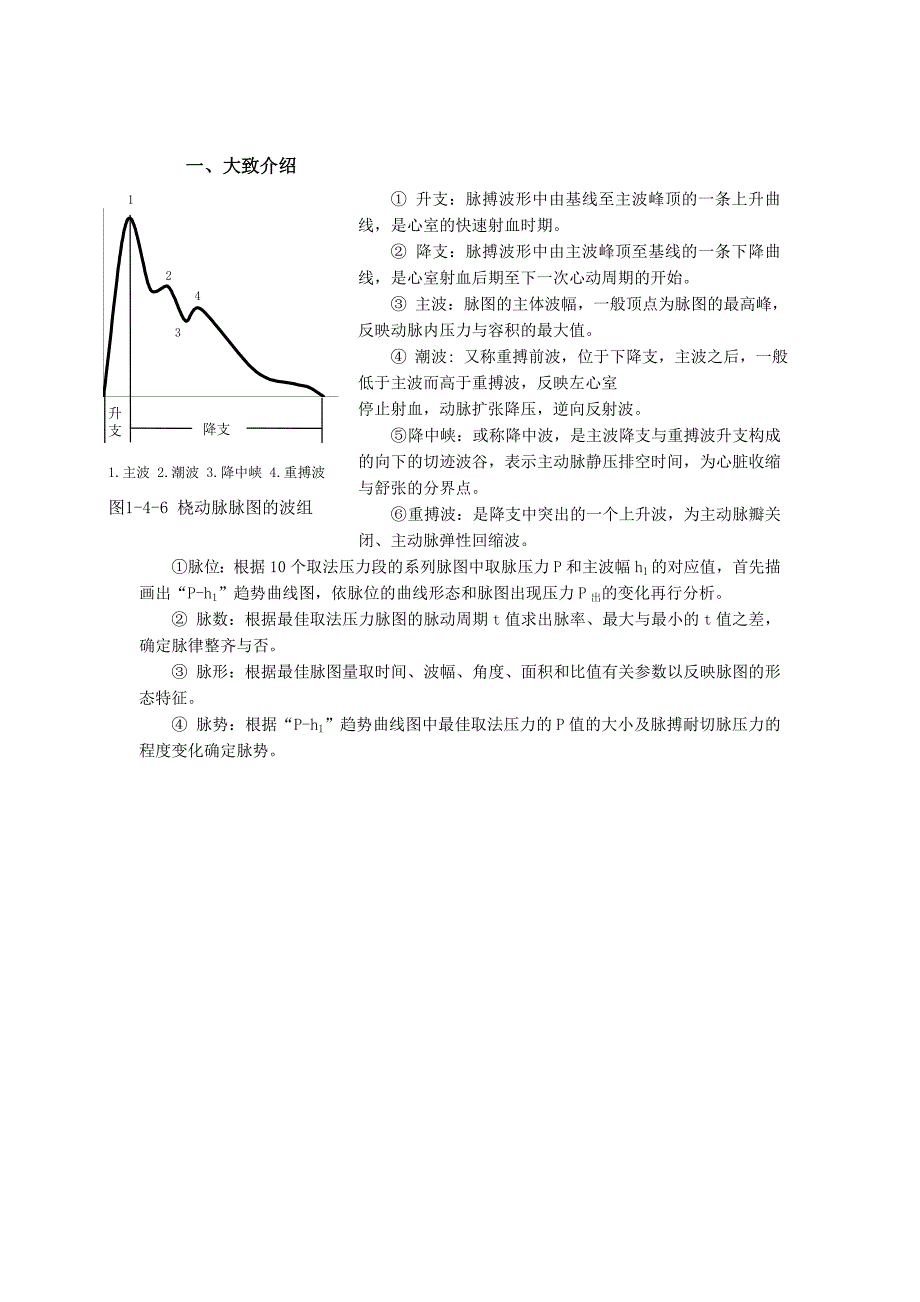脉象参数解释_第1页