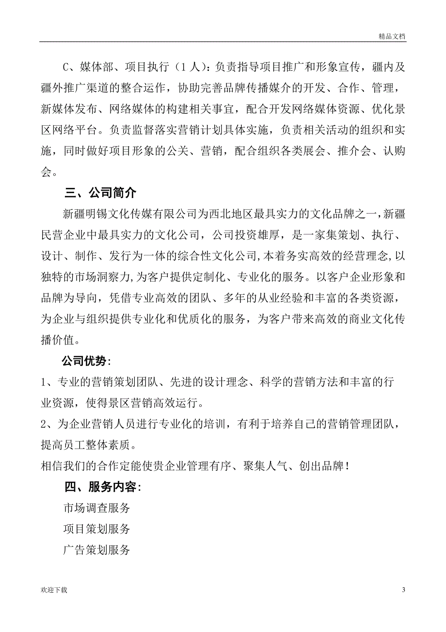 地产项目整体营销策划服务方案_第3页