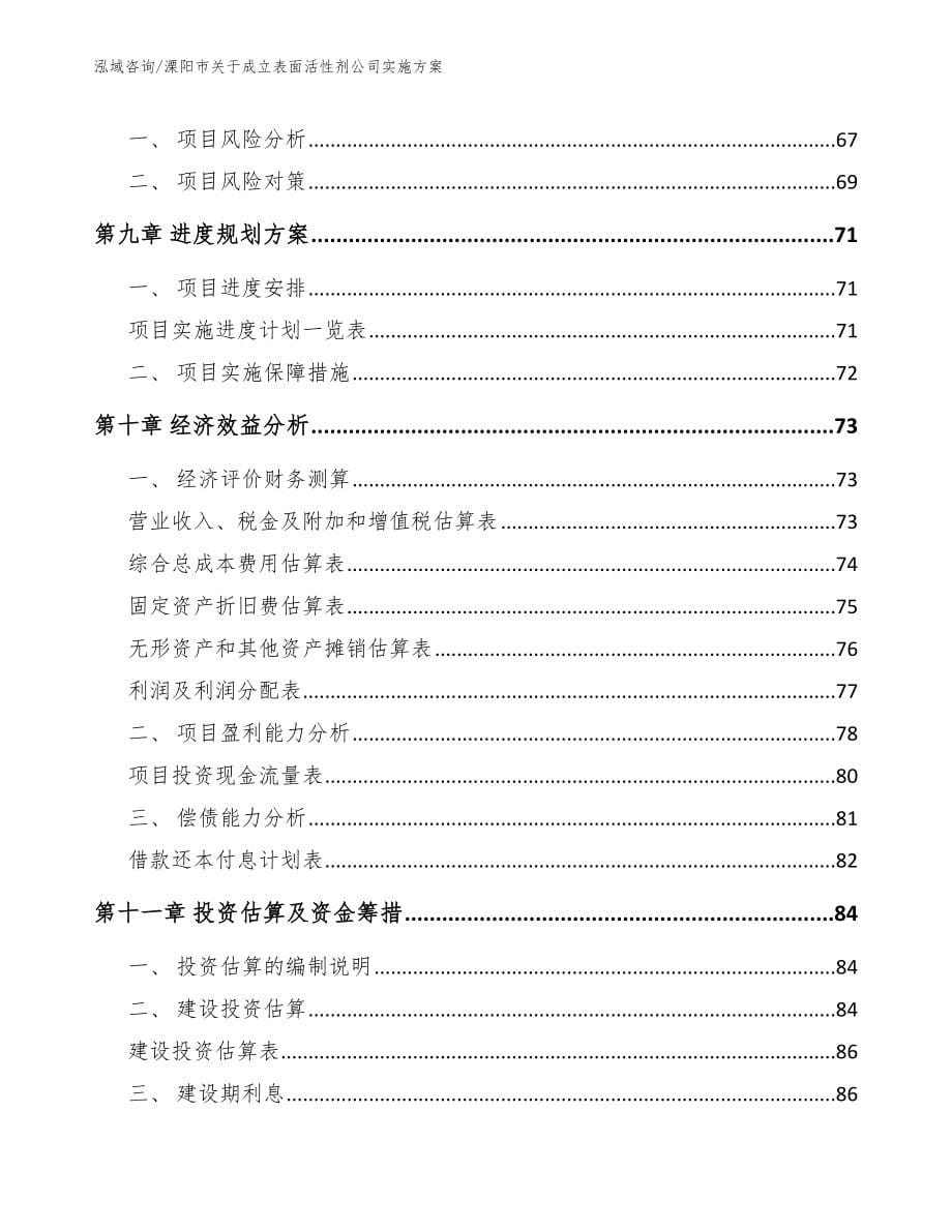 溧阳市关于成立表面活性剂公司实施_第5页