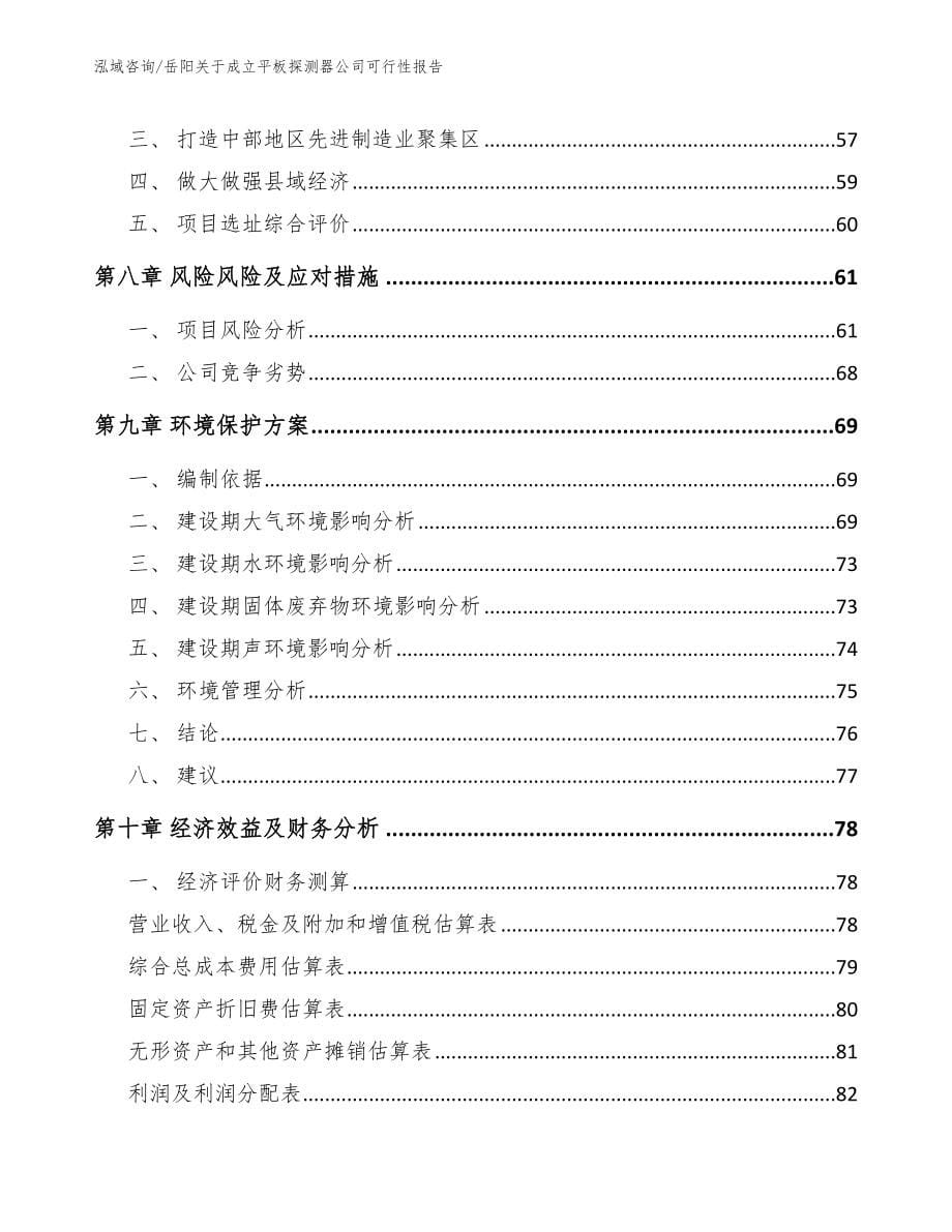 岳阳关于成立平板探测器公司可行性报告（范文）_第5页