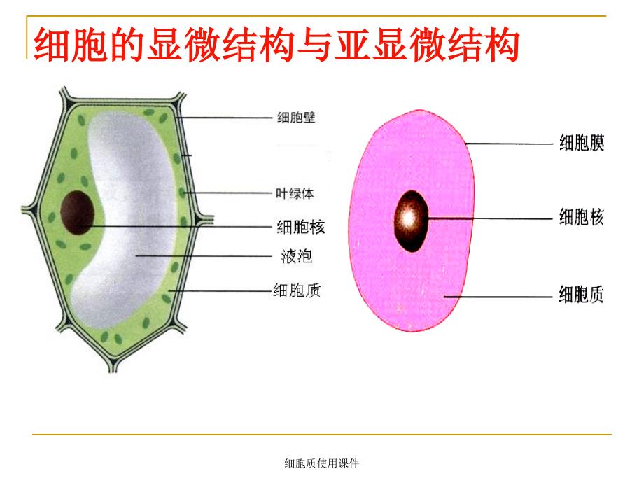 细胞质使用课件_第2页