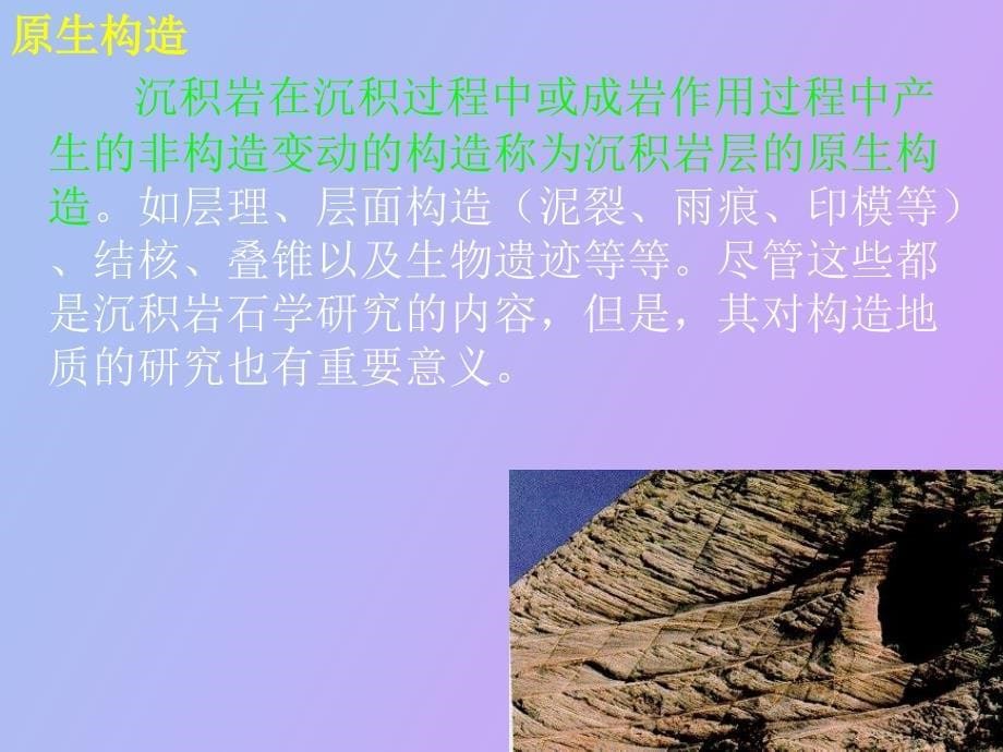 沉积岩层的原生构造_第5页