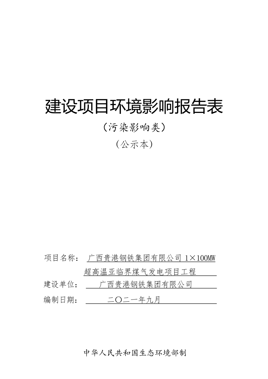 广西贵港钢铁集团有限公司1100MW超高温亚临界煤气发电项目工程环评报告.docx_第1页