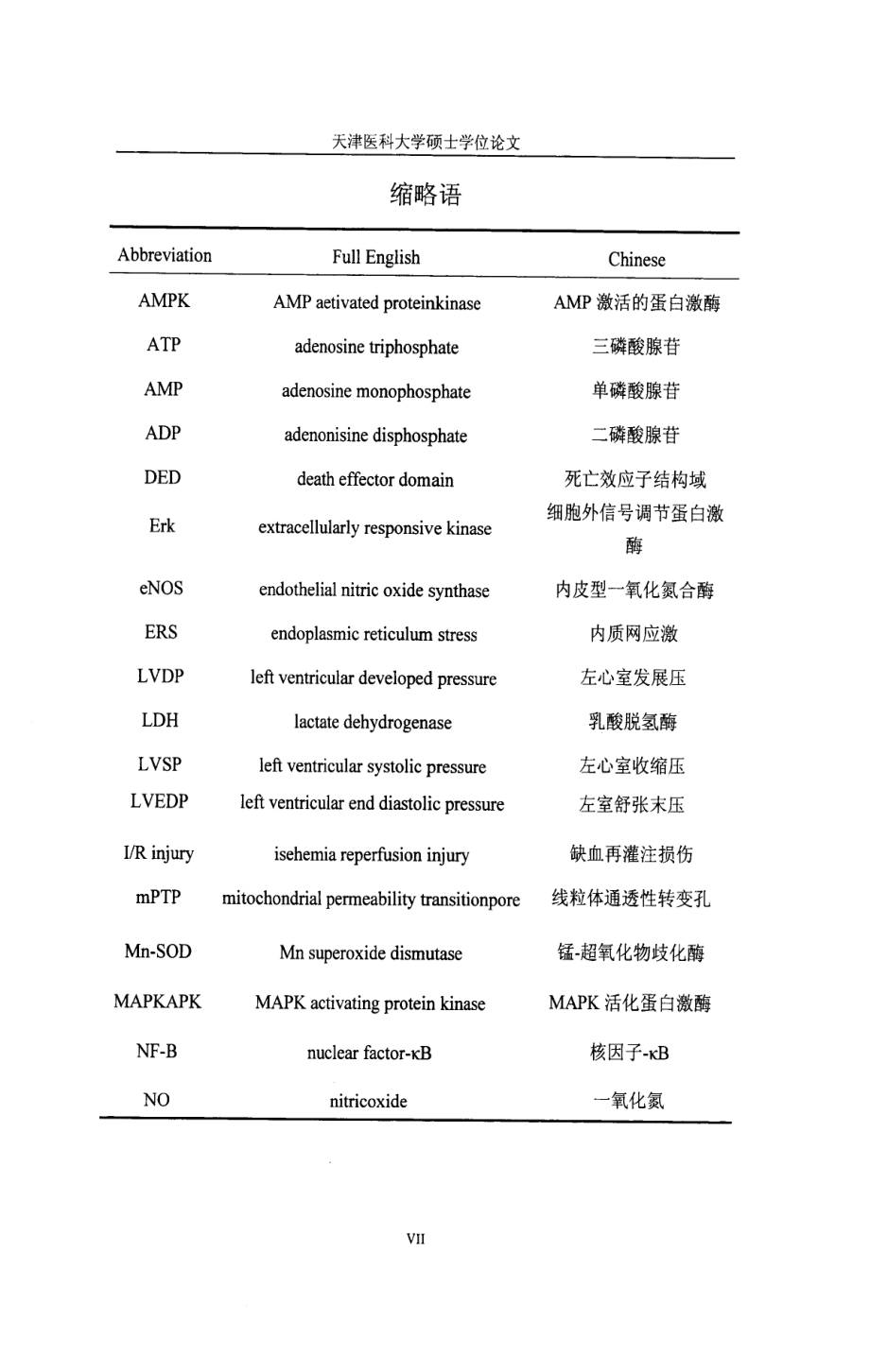 Tau和GR减轻IR诱导的大鼠心肌氧化应激损伤机制研究_第5页