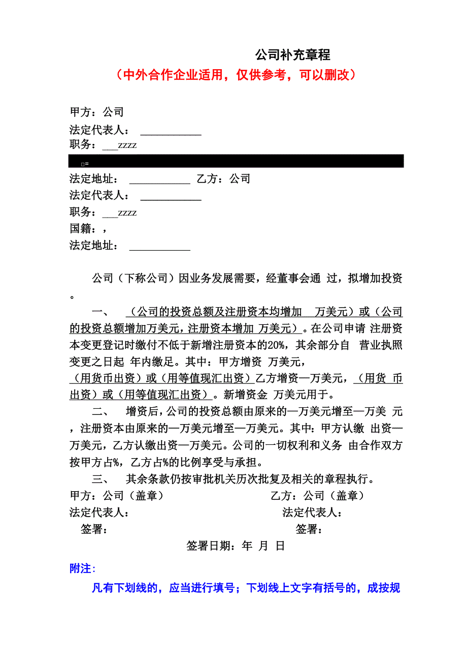 公司补充章程_第1页