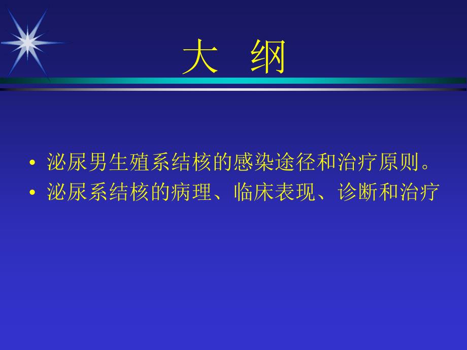 泌尿生殖系统结核资料_第2页