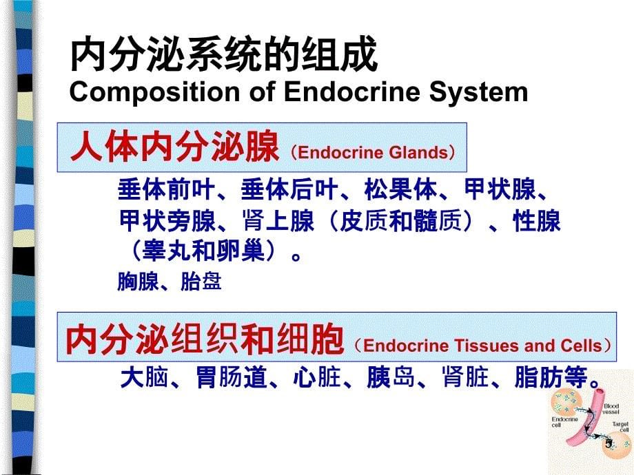 内分泌和代谢疾病总论PPT课件_第5页