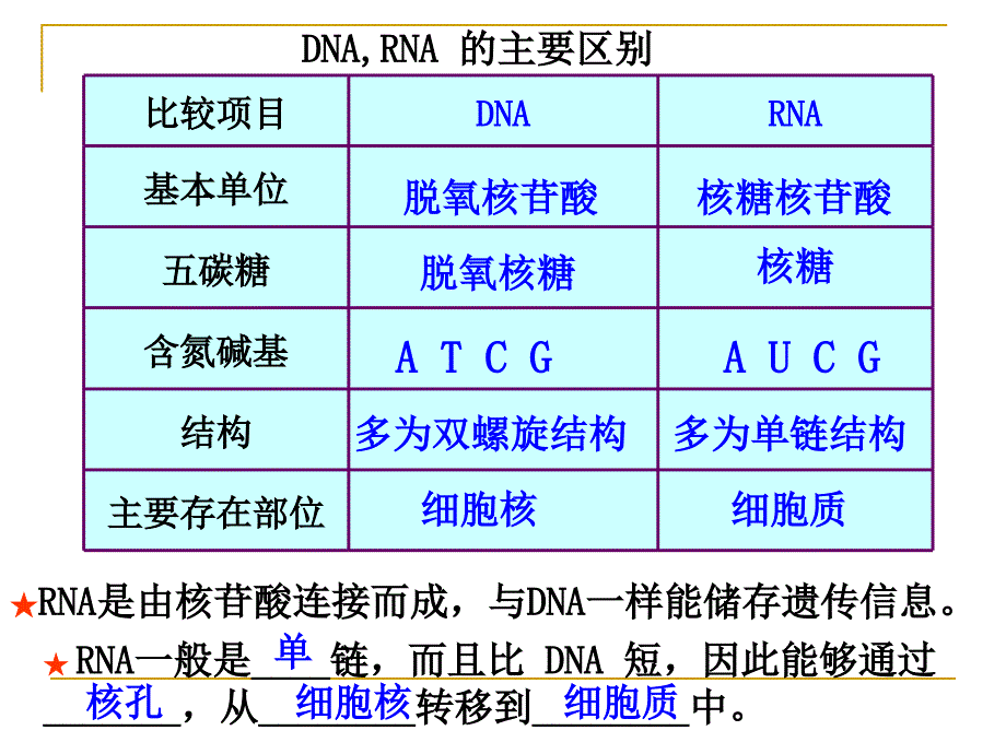 2-4-1基因指导蛋白质的合成_第3页