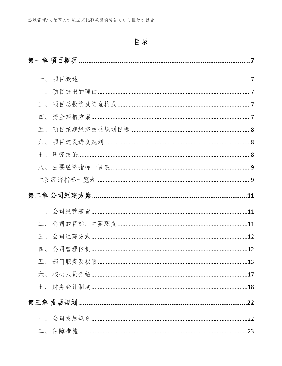 明光市关于成立文化和旅游消费公司可行性分析报告（范文模板）_第1页