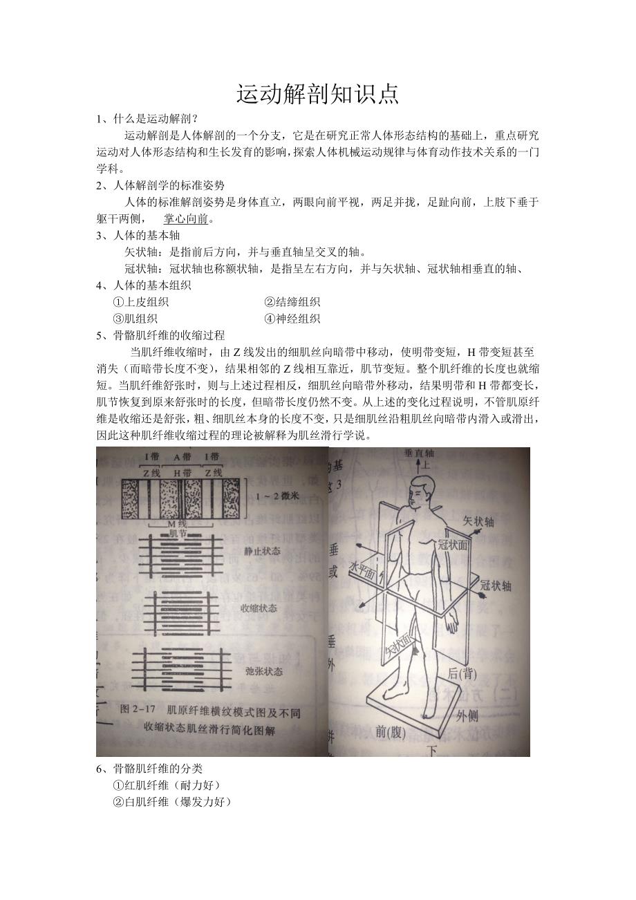 运动解剖知识点_第1页