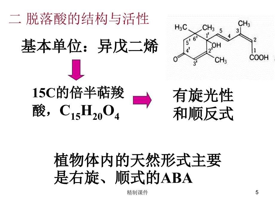 第十二章-脱落酸#精制课件_第5页