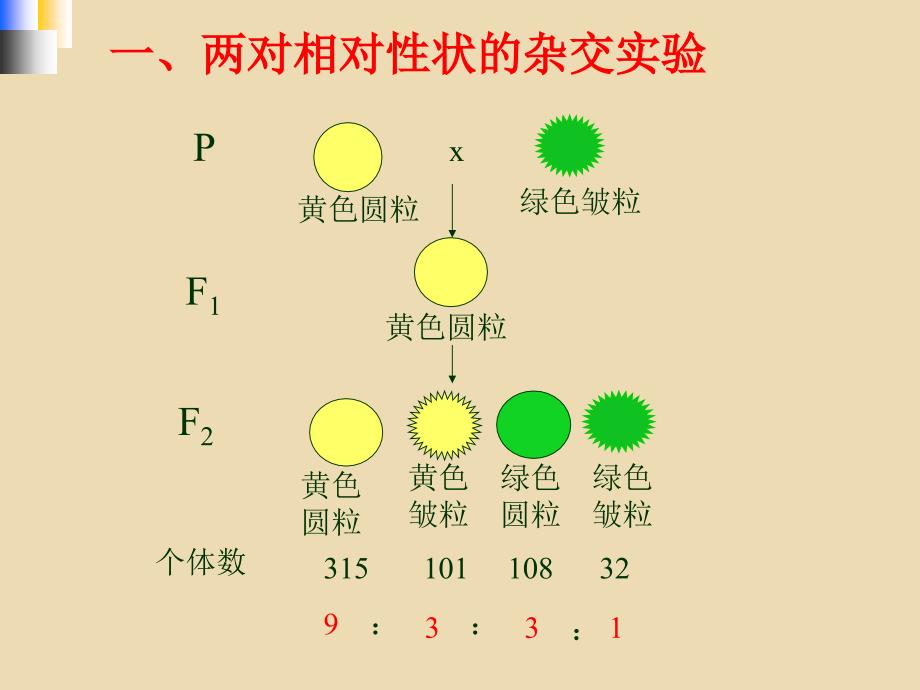 孟德尔的豌豆杂交实验(二)_第2页