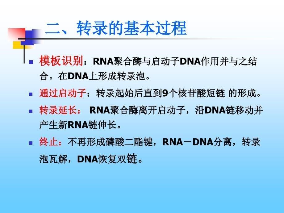 第三章RNA的转录_第5页