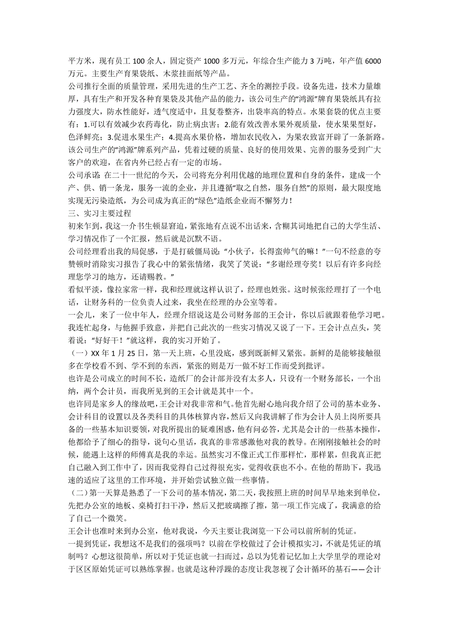 公司会计电算化实习报告_第2页