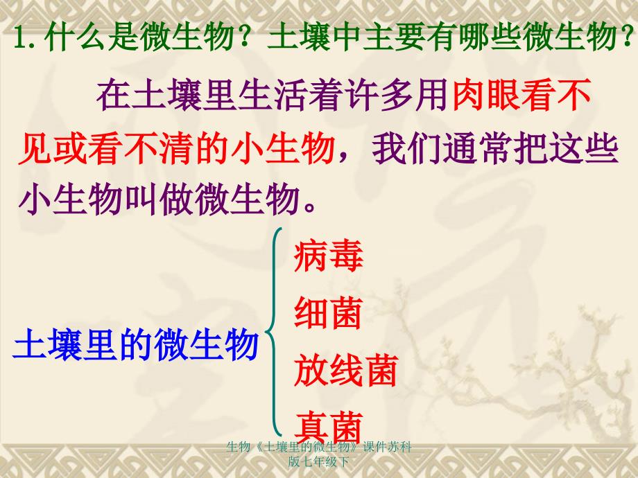 生物土壤里的微生物课件苏科版七年级下课件_第3页