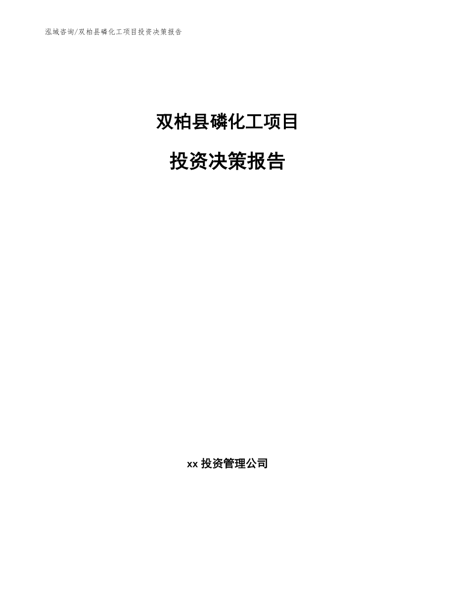 双柏县磷化工项目投资决策报告参考模板_第1页