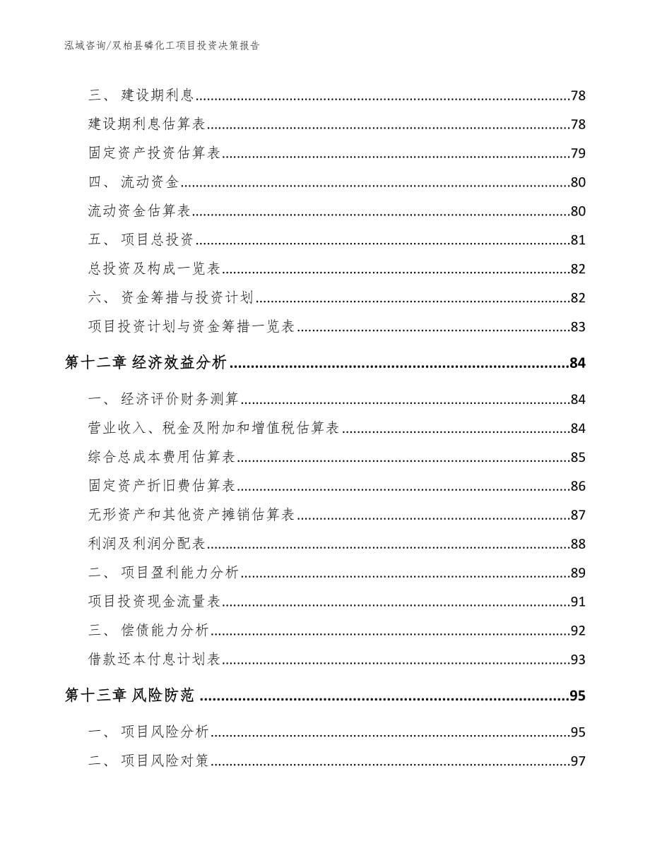 双柏县磷化工项目投资决策报告参考模板_第5页